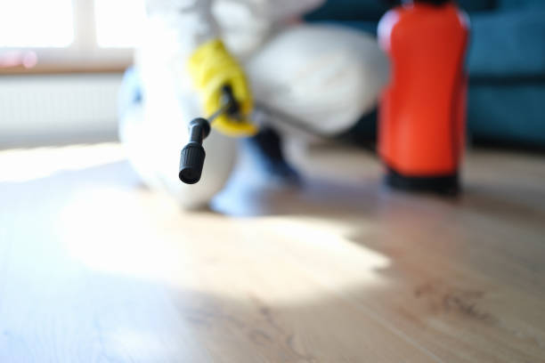 Best Water Damage & Mold Remediation  in Liberty, SC