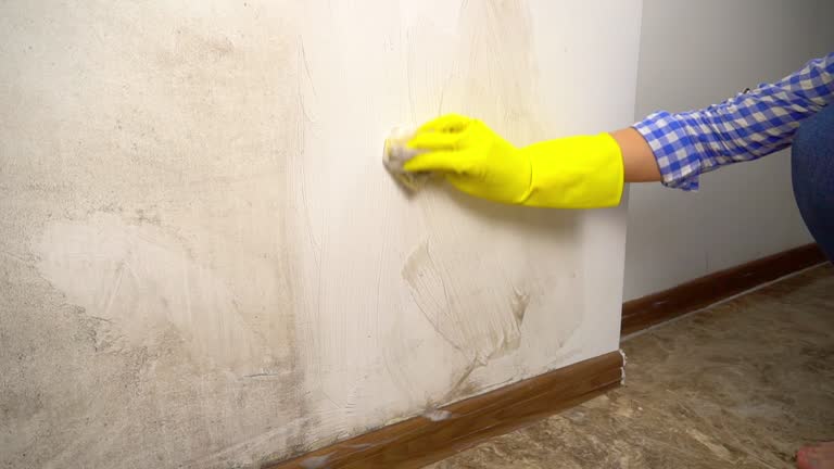 Dehumidification Services in Liberty, SC